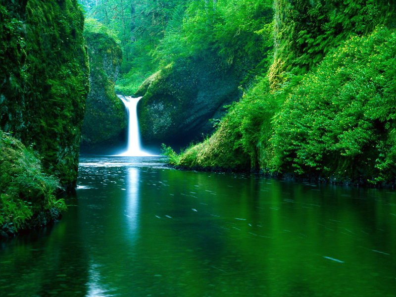 nature, forest, river, waterfall