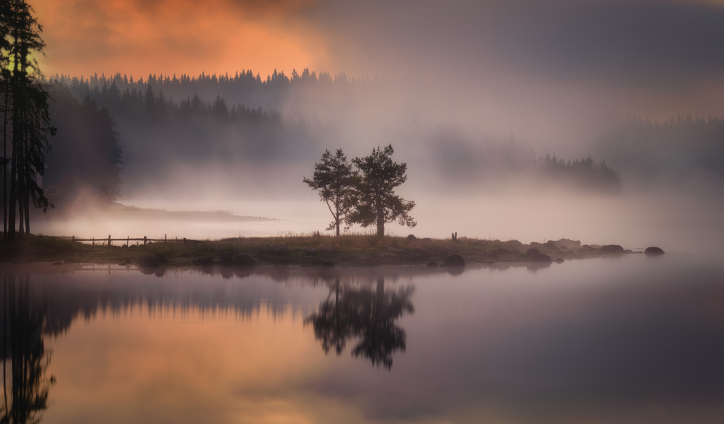 nature, fog, islet, tree, lake