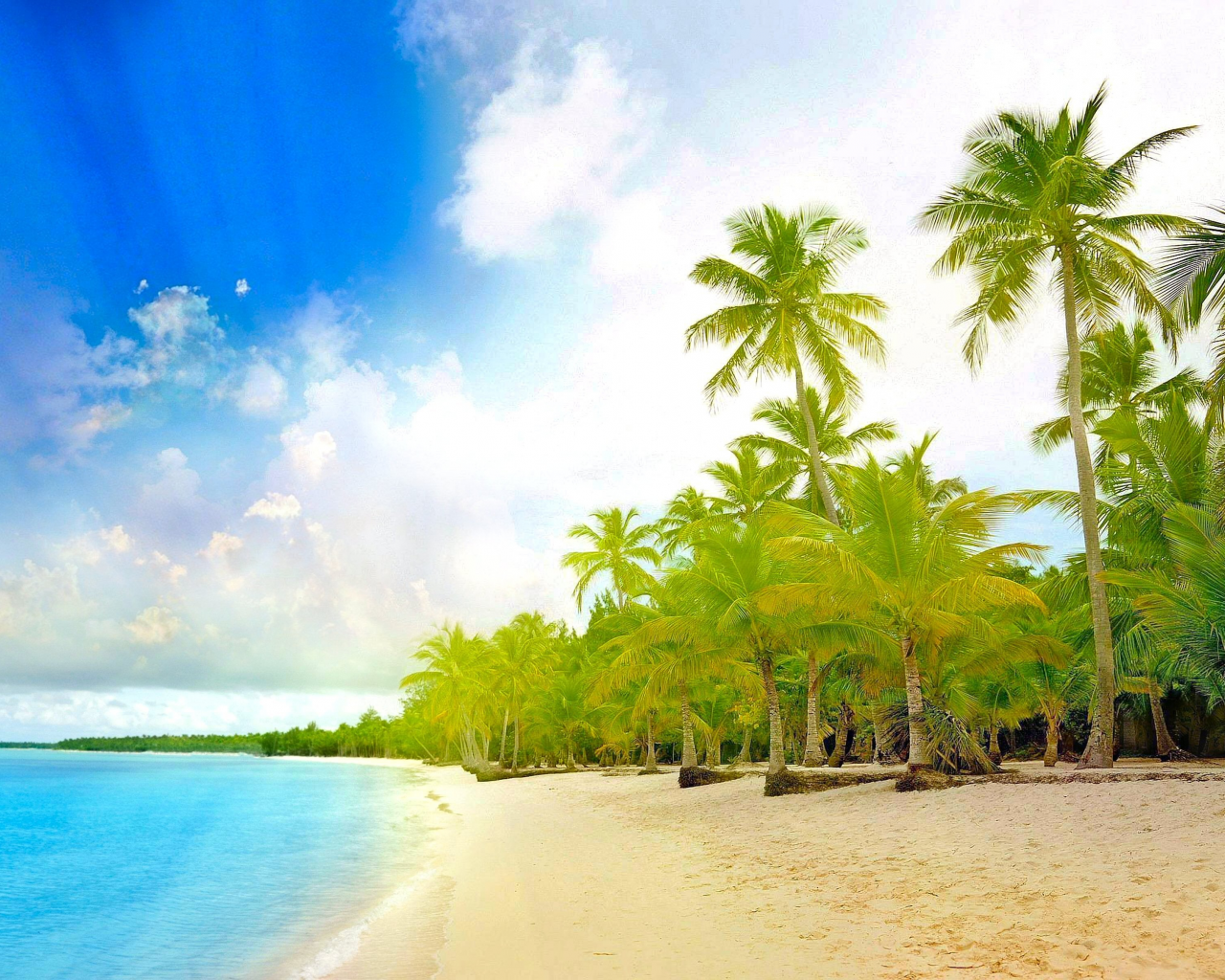 landscape, palm trees, beach, sea, tropics