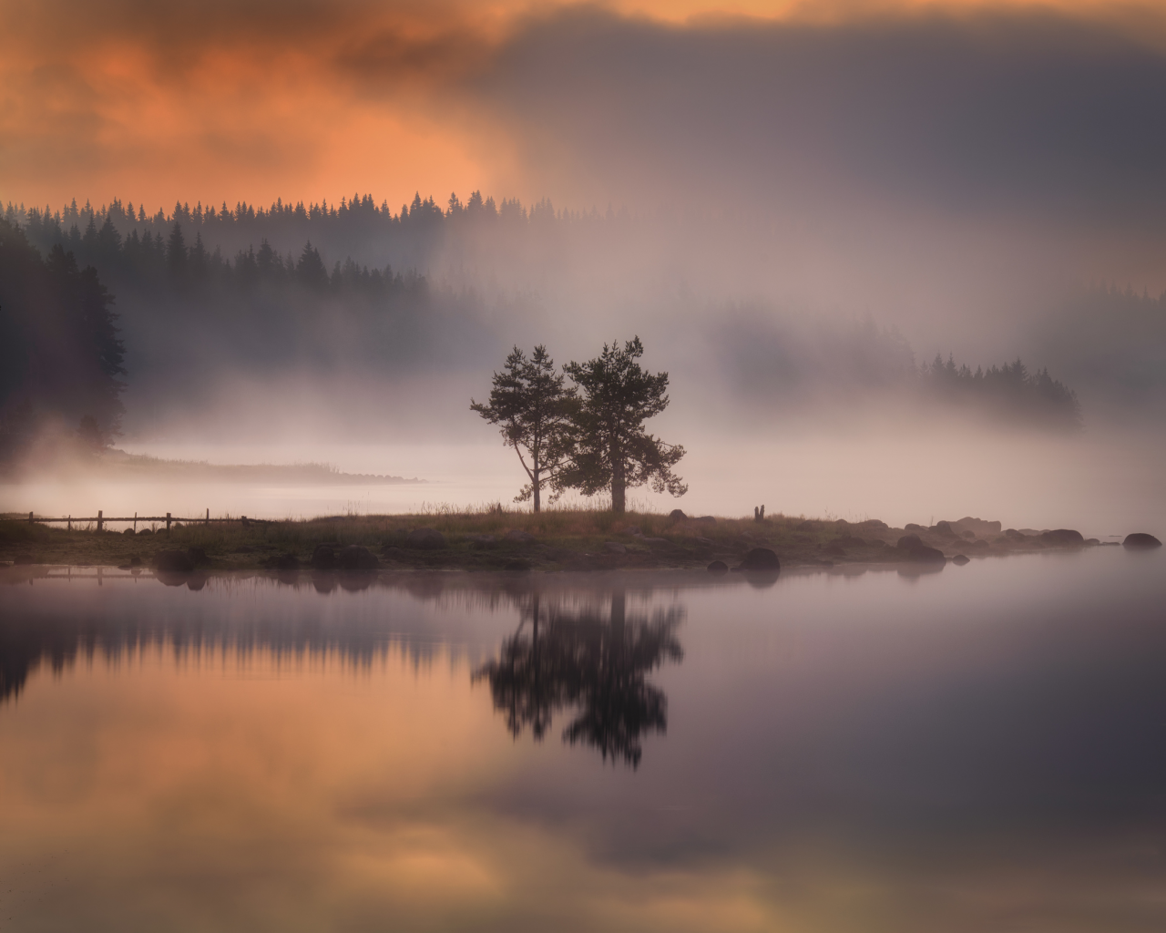 nature, fog, islet, tree, lake