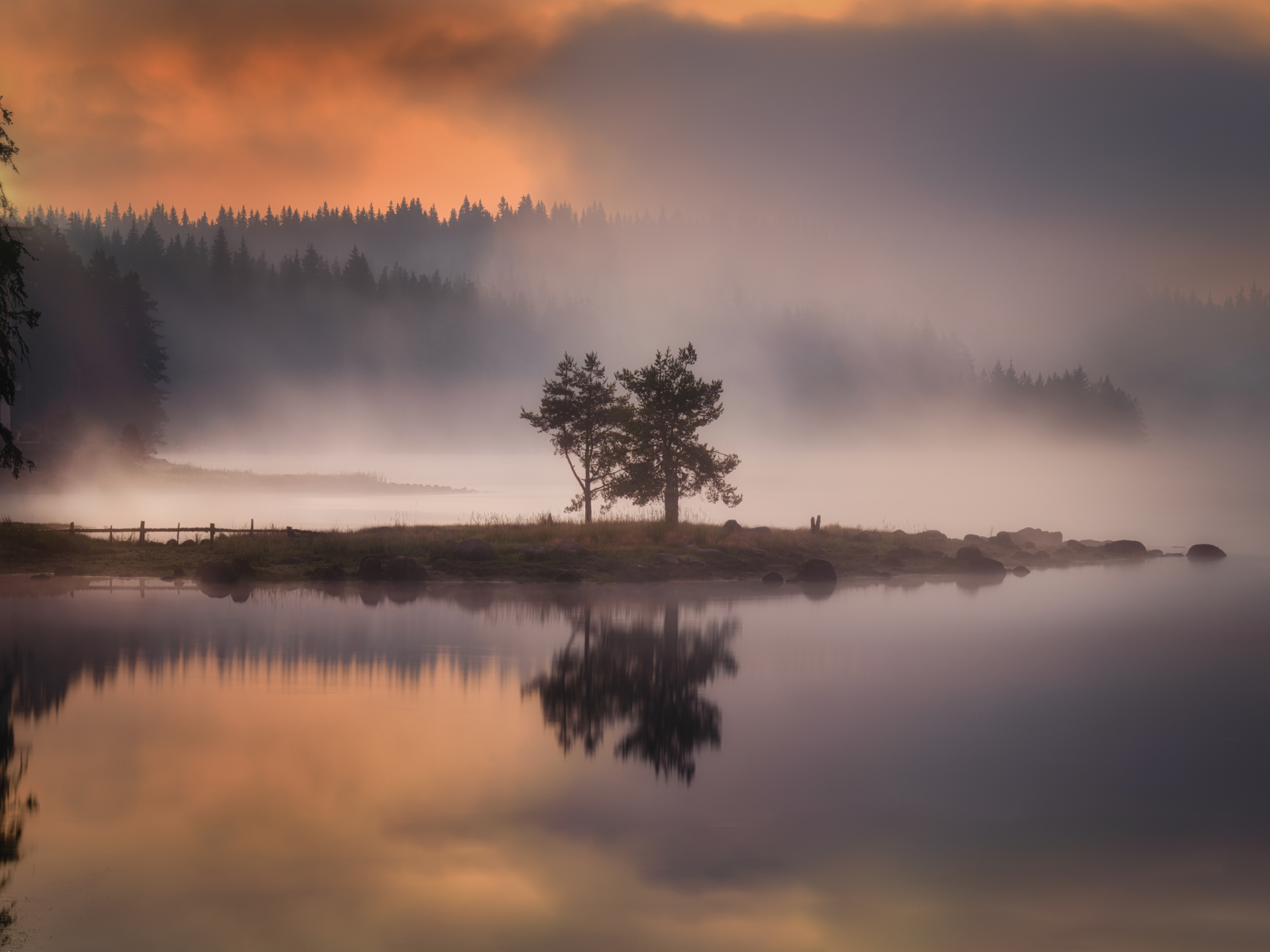 nature, fog, islet, tree, lake