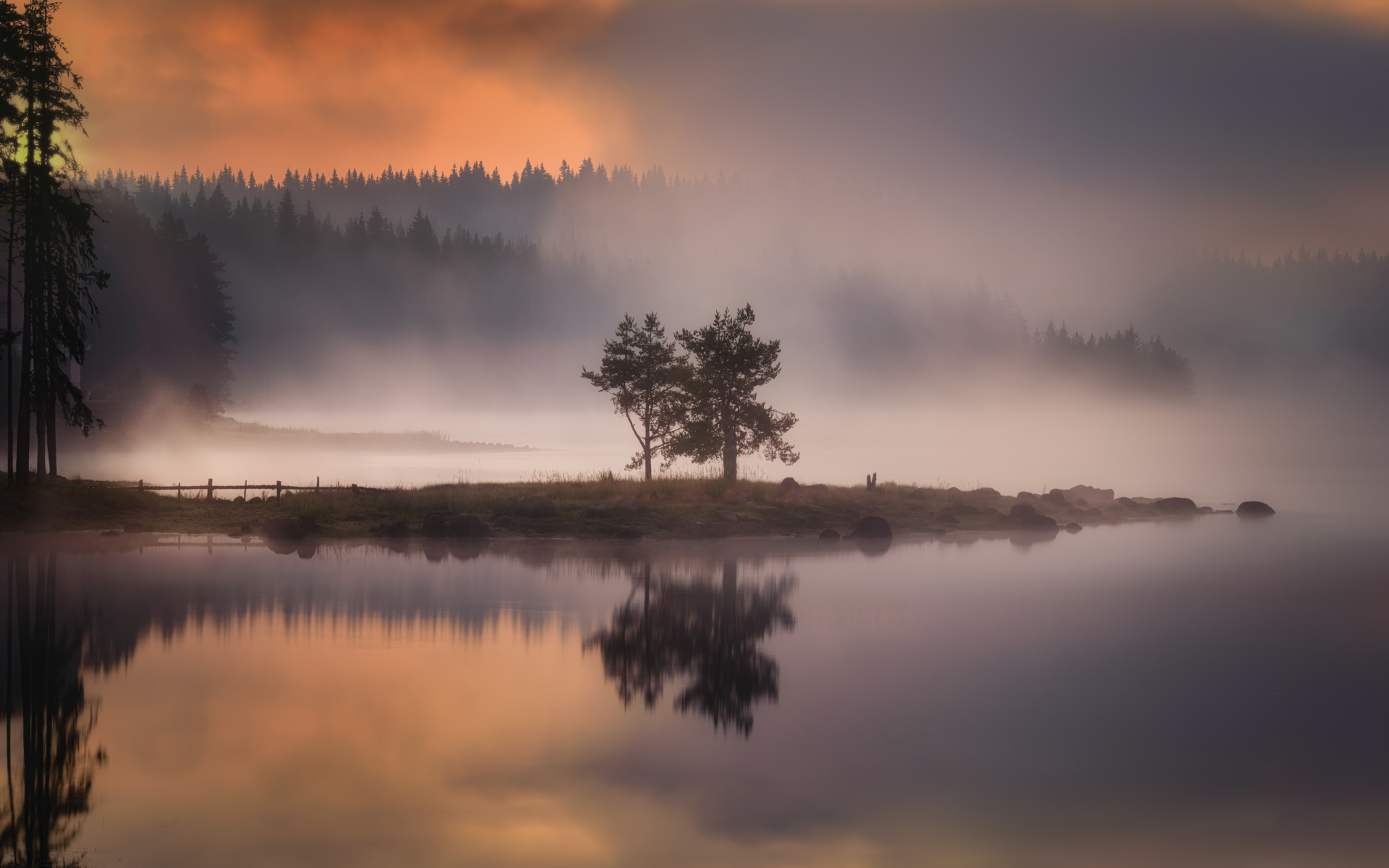 nature, fog, islet, tree, lake