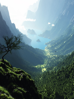nature, mountains, forest, bay, rocks