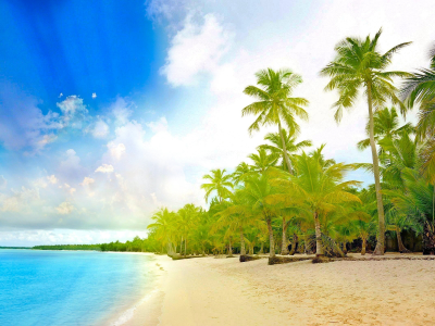 landscape, palm trees, beach, sea, tropics
