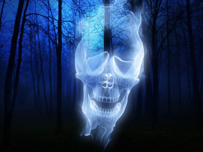 fantasy, ghost, skull, forest, night