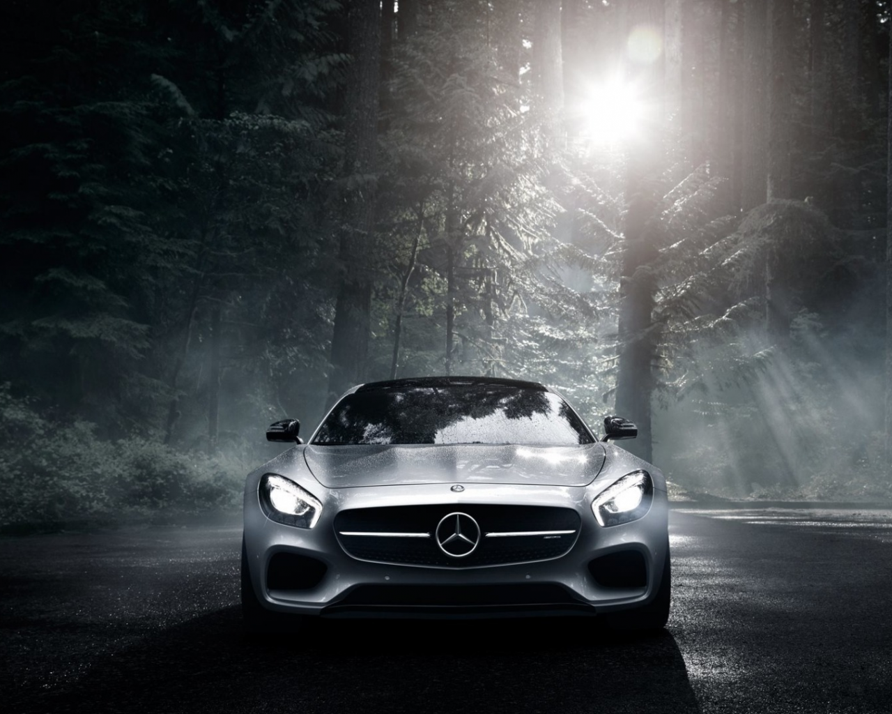 car, mersedes, amg, gt, night, forest