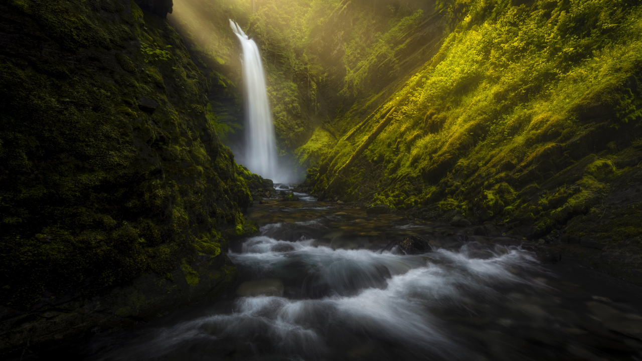 nature, forest, waterfall, sun rays