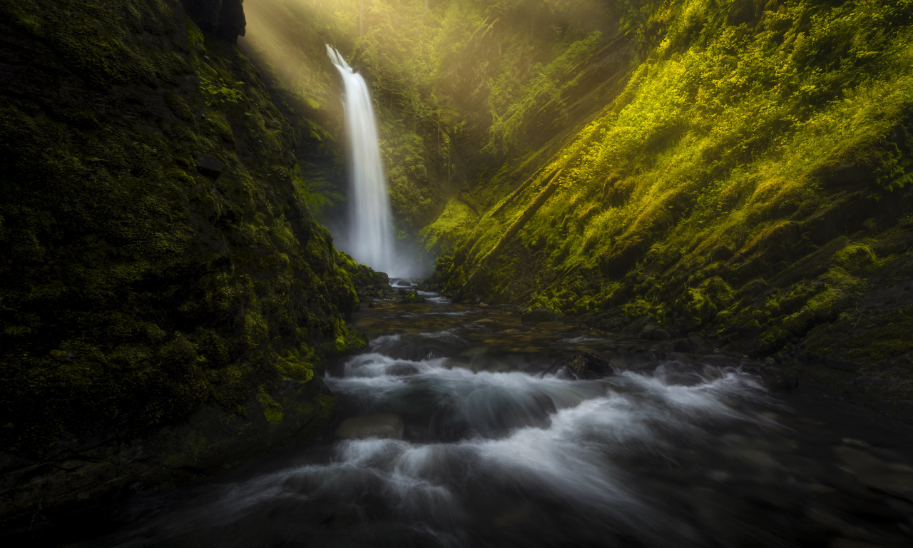 nature, forest, waterfall, sun rays