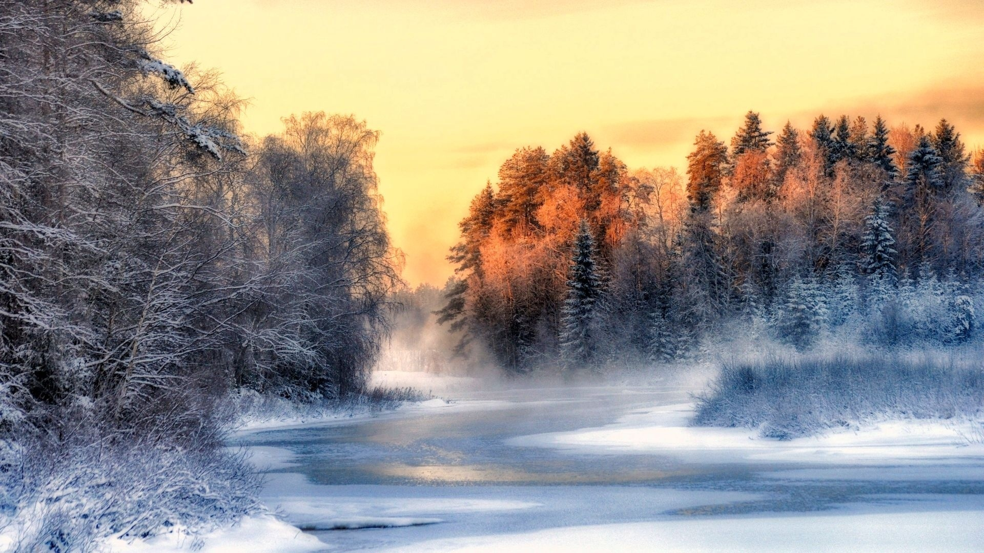 nature, winter, forest, river