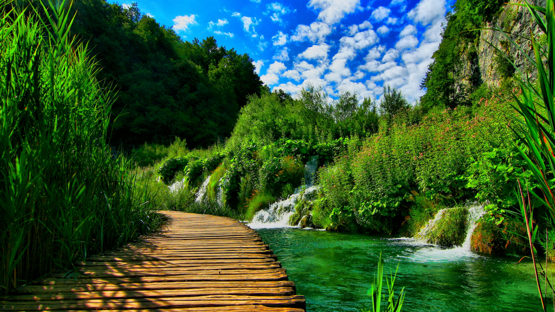 nature, mountains, forest, river, bridge
