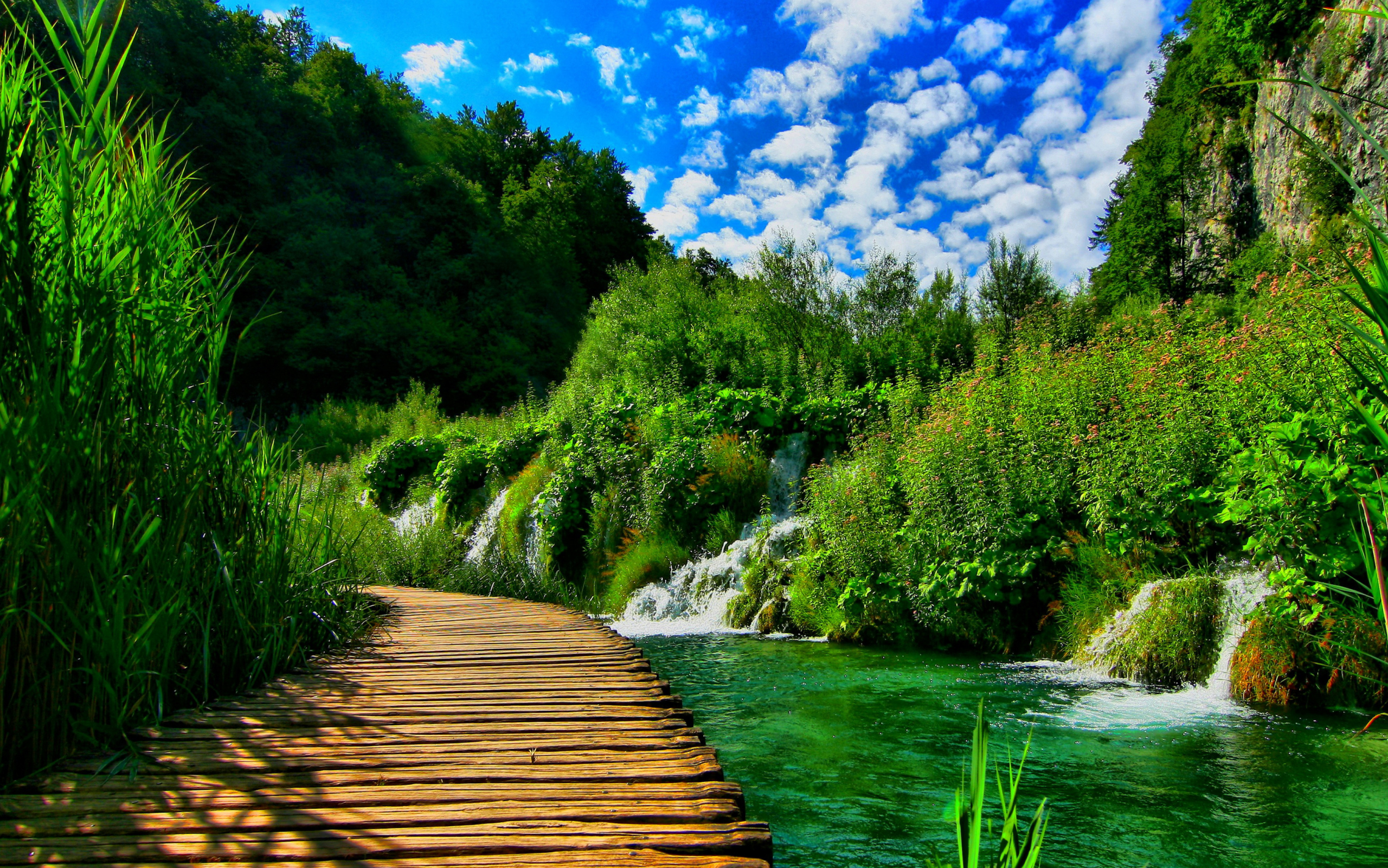 nature, mountains, forest, river, bridge