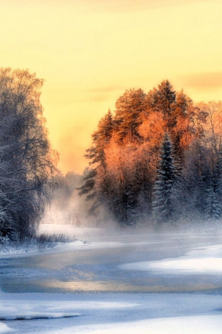 nature, winter, forest, river