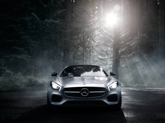 car, mersedes, amg, gt, night, forest