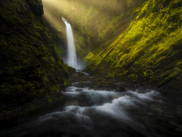 nature, forest, waterfall, sun rays