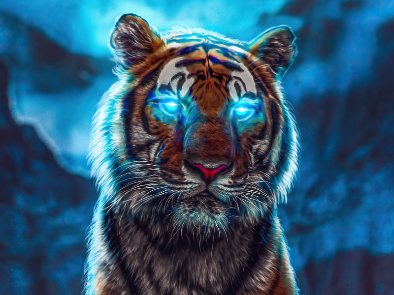 tiger, art, blue eyes, drawing