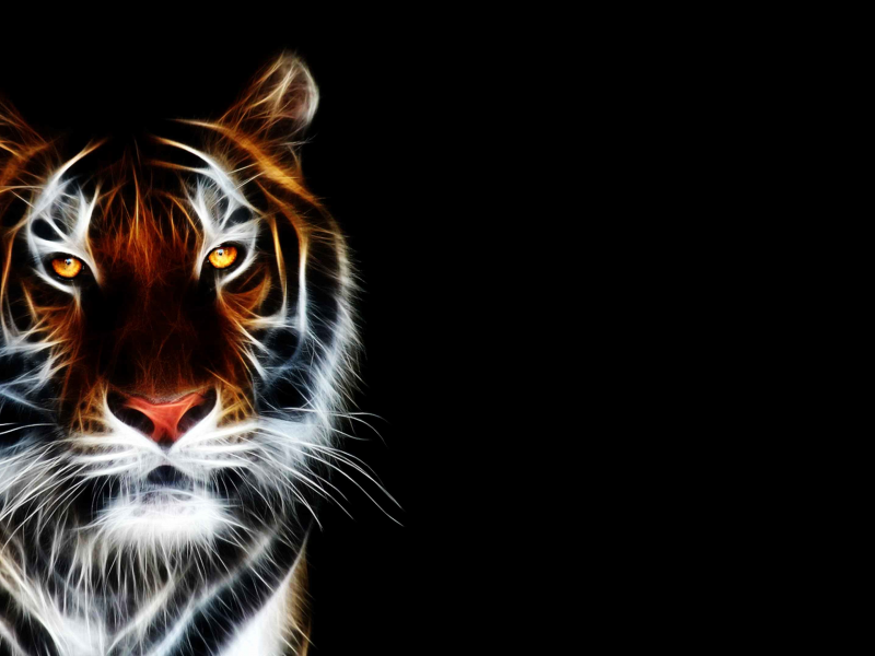 animated, tiger, wallpaper, 3d