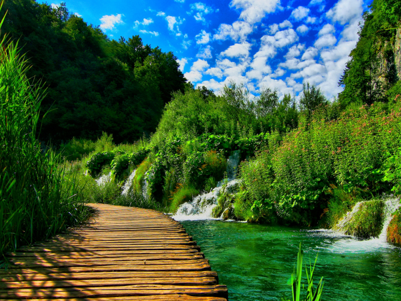 nature, mountains, forest, river, bridge