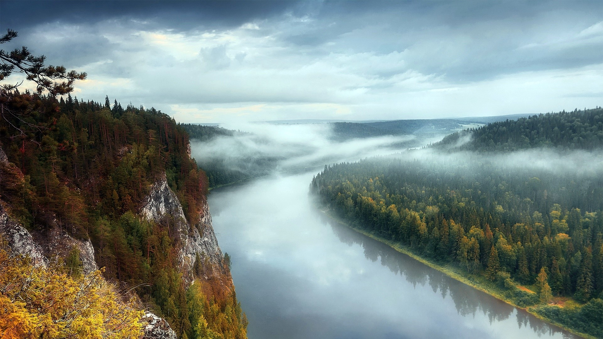 landscape, nature, river, forest, fog
