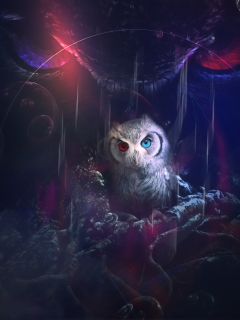 owl, look, fantasy, graphics, art