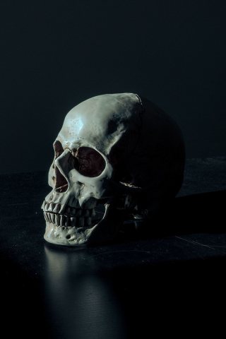 dark, skull, background