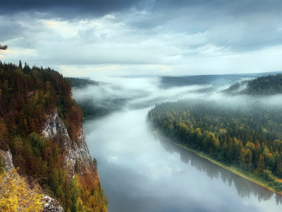 landscape, nature, river, forest, fog