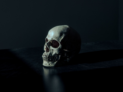 dark, skull, background