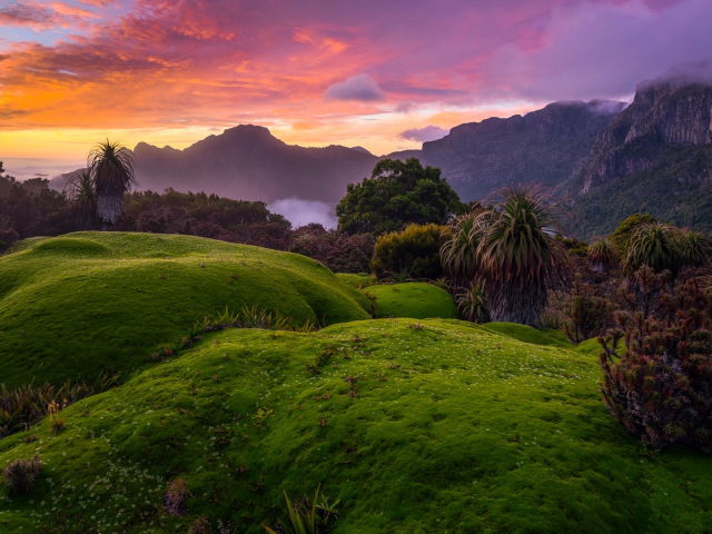 australia, tasmania, bushes, green, grass, red, sky, clouds, sunset