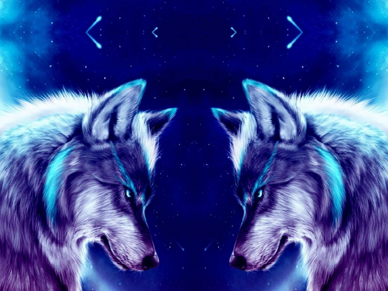 wolf, night, wallpaper