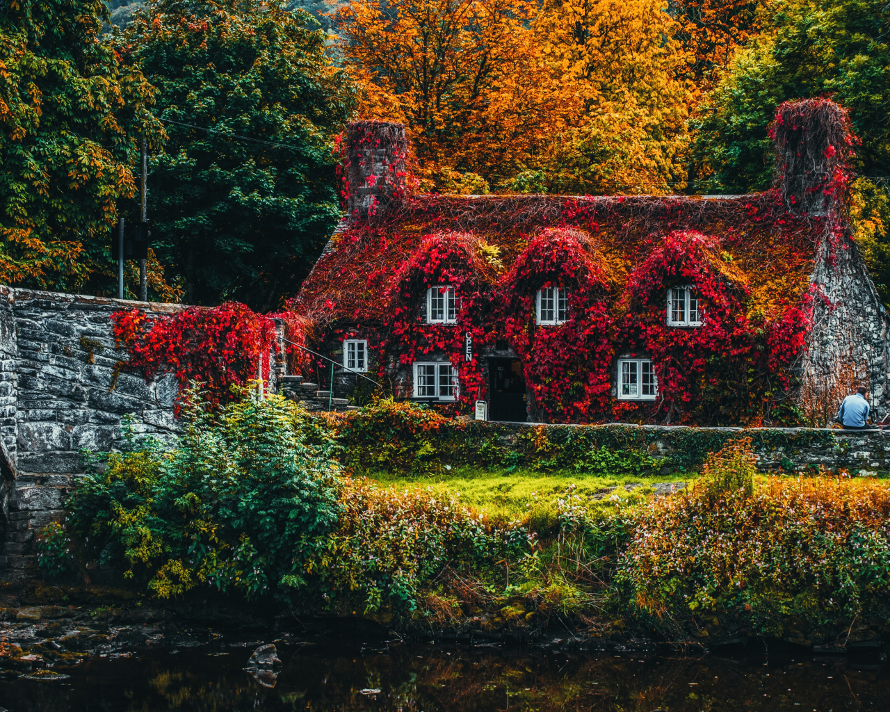 house, covered, trees, autumn, bridge, beautiful, old