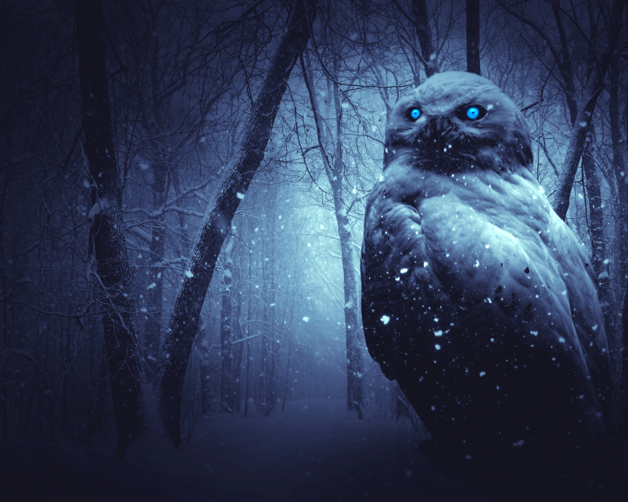owl, forest, winter, dark, night, blue eyes, scary, snowfal