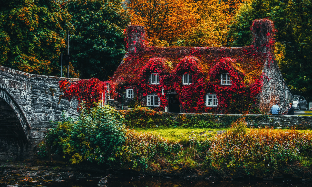 house, covered, trees, autumn, bridge, beautiful, old