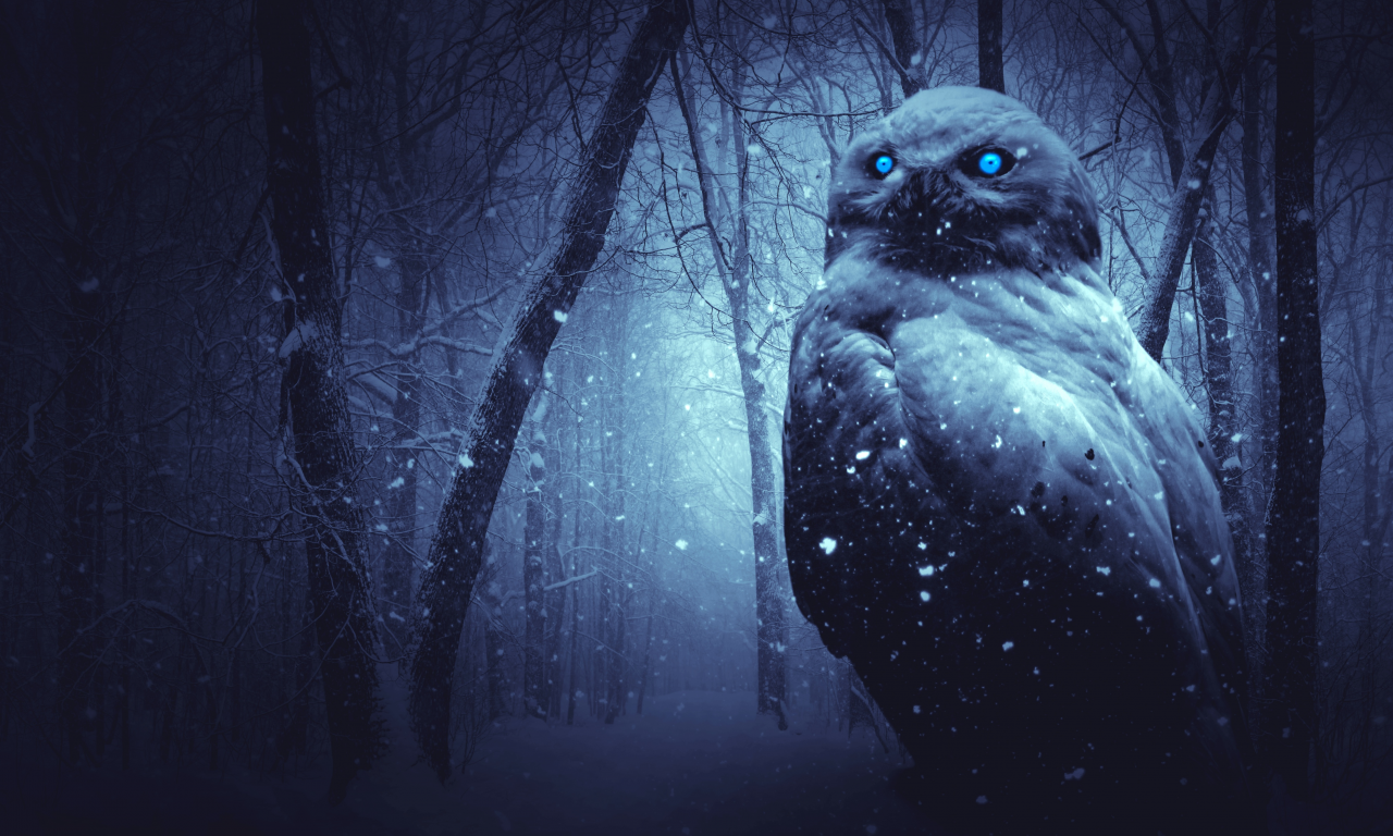 owl, forest, winter, dark, night, blue eyes, scary, snowfal