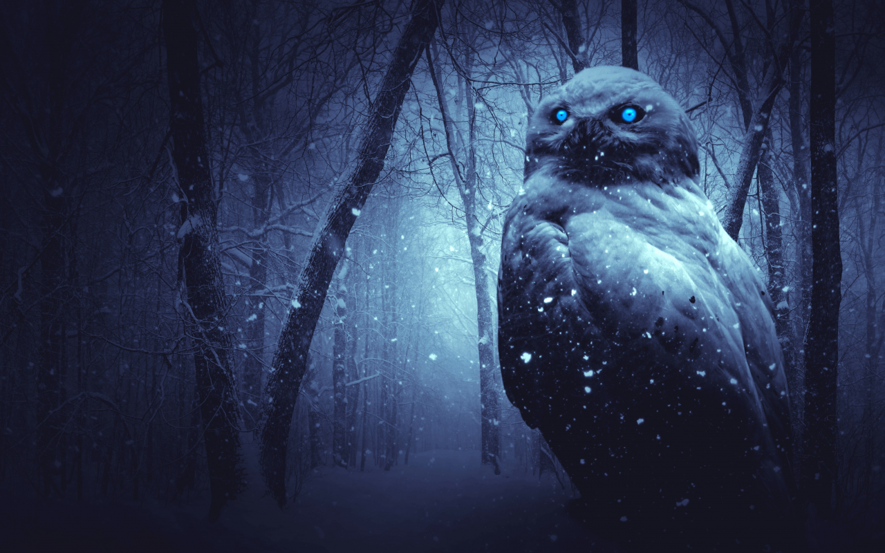 owl, forest, winter, dark, night, blue eyes, scary, snowfal