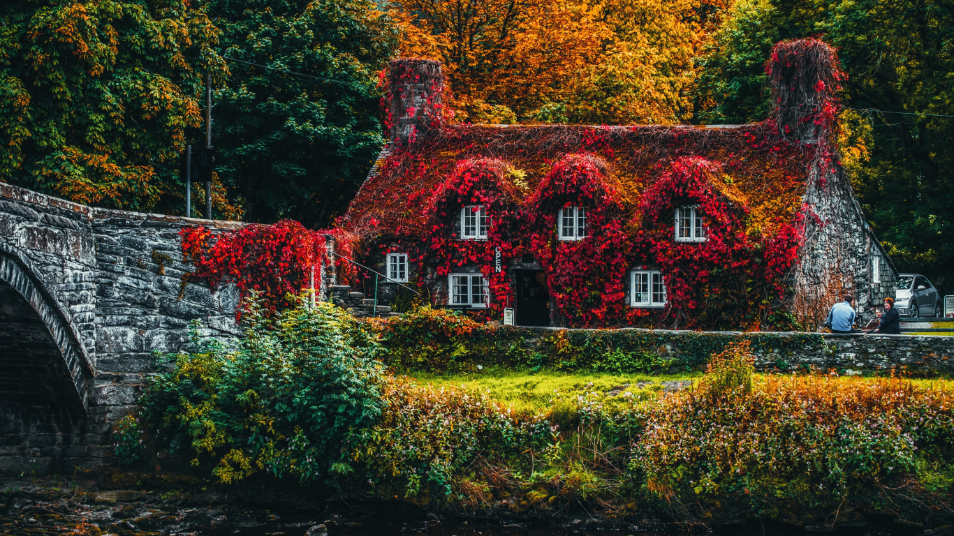 house, covered, trees, autumn, bridge, beautiful, old