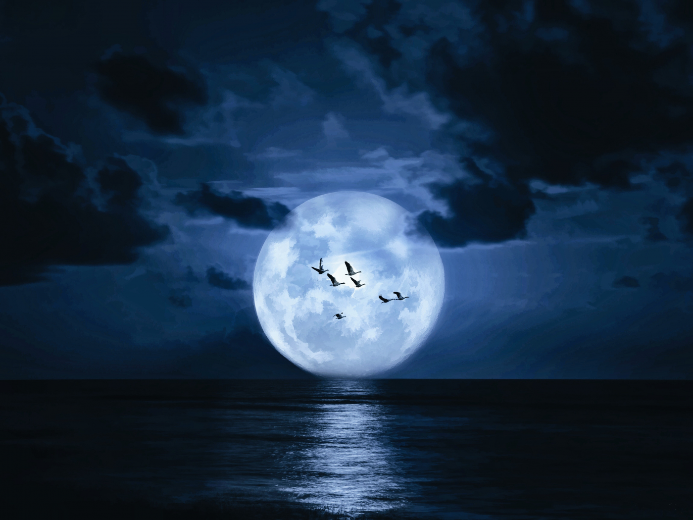 landscape, sea, moon, birds, night