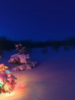 christmas tree, snow, christmas, lights