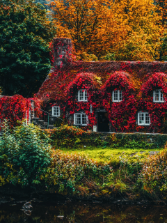 house, covered, trees, autumn, bridge, beautiful, old