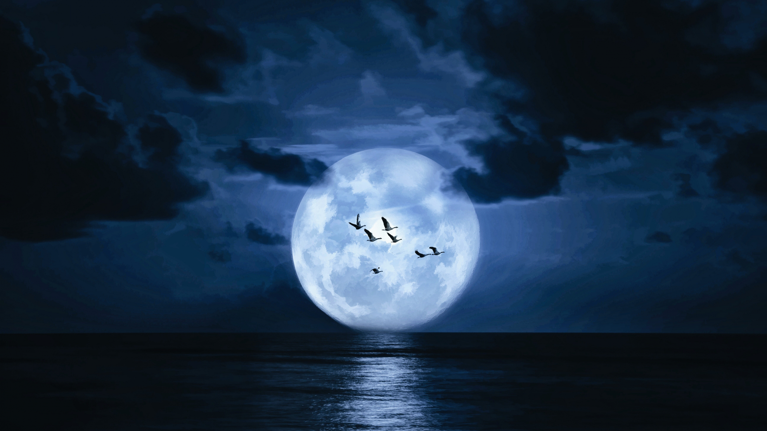 landscape, sea, moon, birds, night