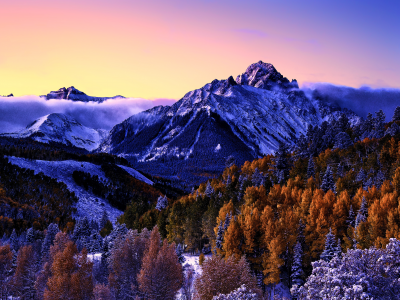 mount, sneffels, colorado, snow, covered, aspen, trees, fog, purple