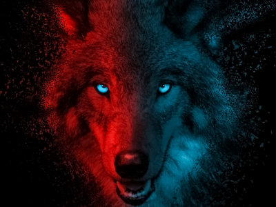 wolf, scary, gradient, dark, background