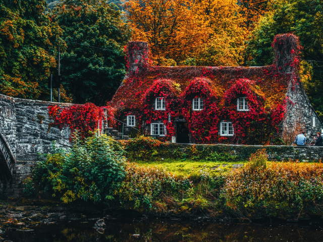 house, covered, trees, autumn, bridge, beautiful, old