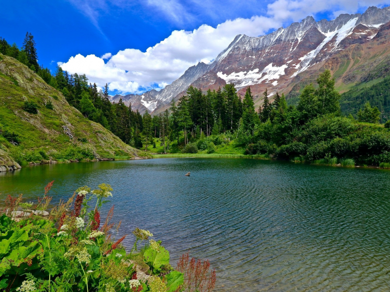 пейзаж, природа, красота