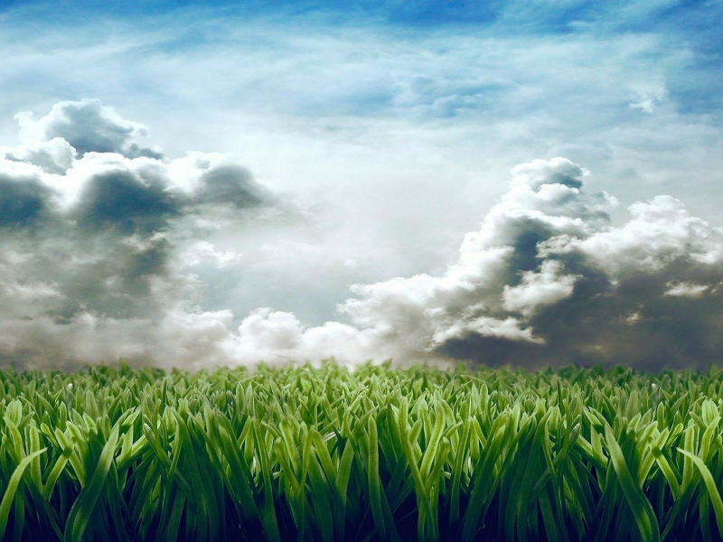 clouds, grass, digital art