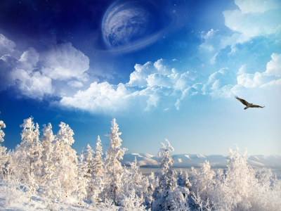 winter, trees, mountains, sky, space, birds