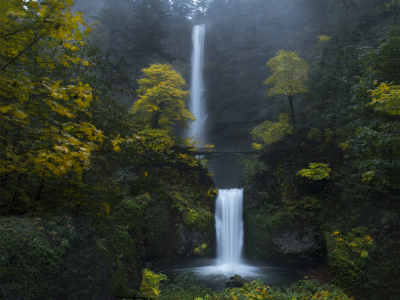 multnomah falls, oregon, forest, waterfalls, green, moss, rocks