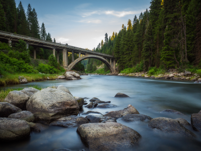 forest, river, river, bridge, states, america