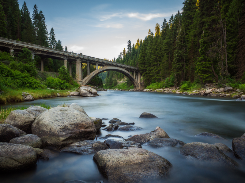 forest, river, river, bridge, states, america