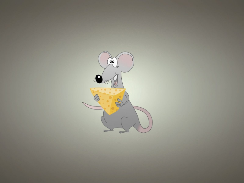 miscellaneous, background, rat, cheese, funny