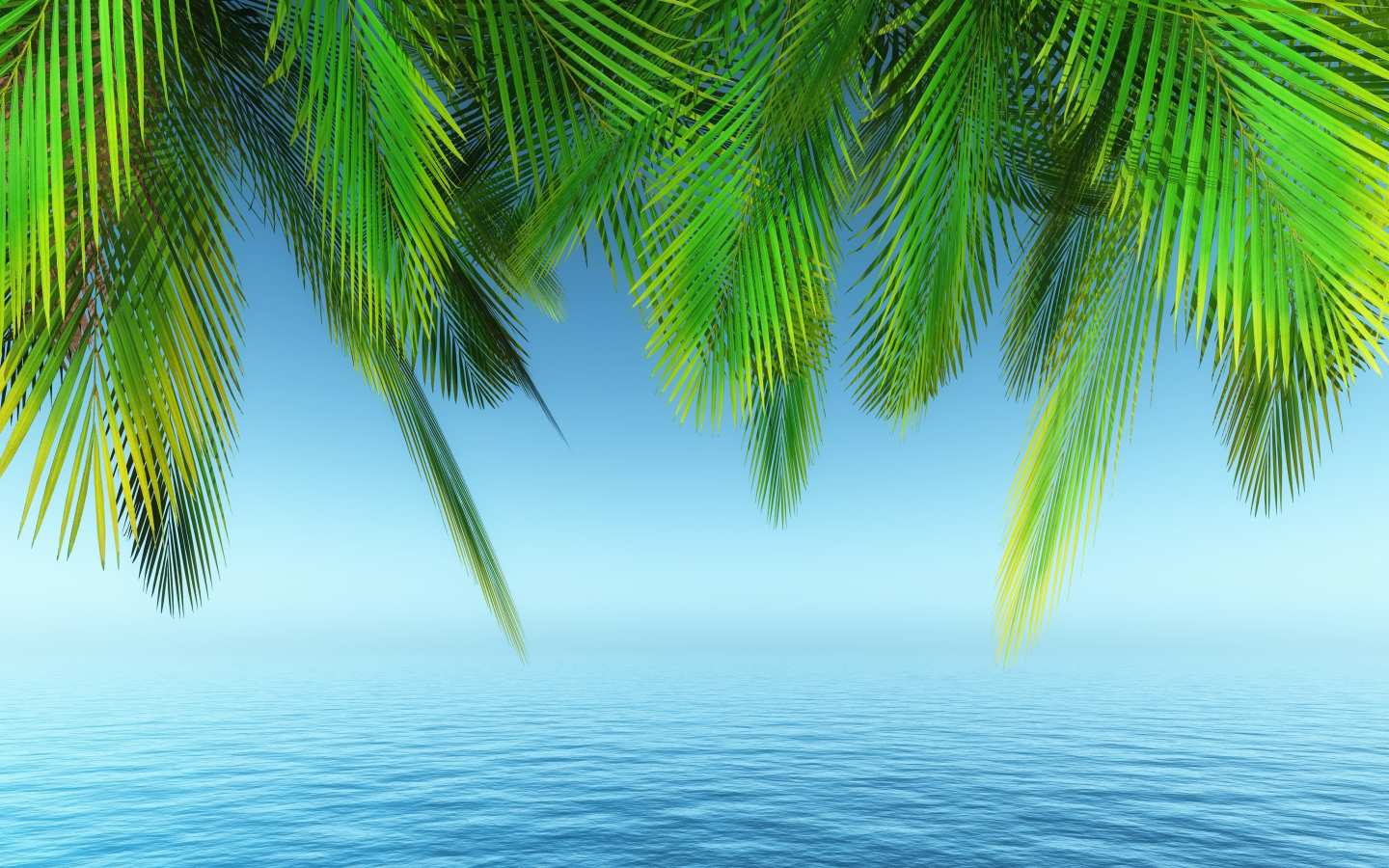 palm trees, tree, water, day time, plant