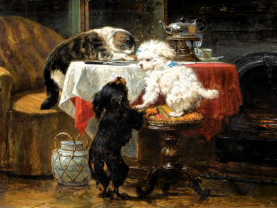 Henriette Ronner-Knip